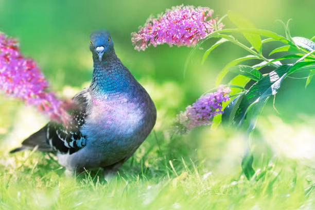 Ai sinh thang Am lich nay tham vong ngut troi, su nghiep tien trien-Hinh-2