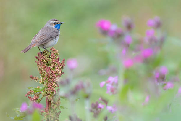 Ai sinh tháng Âm lịch này tham vọng ngút trời, sự nghiệp tiến triển Ai sinh thang Am lich nay tham vong ngut troi, su nghiep tien trien