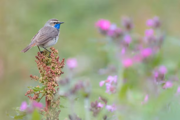 Ai sinh thang Am lich nay tham vong ngut troi, su nghiep tien trien