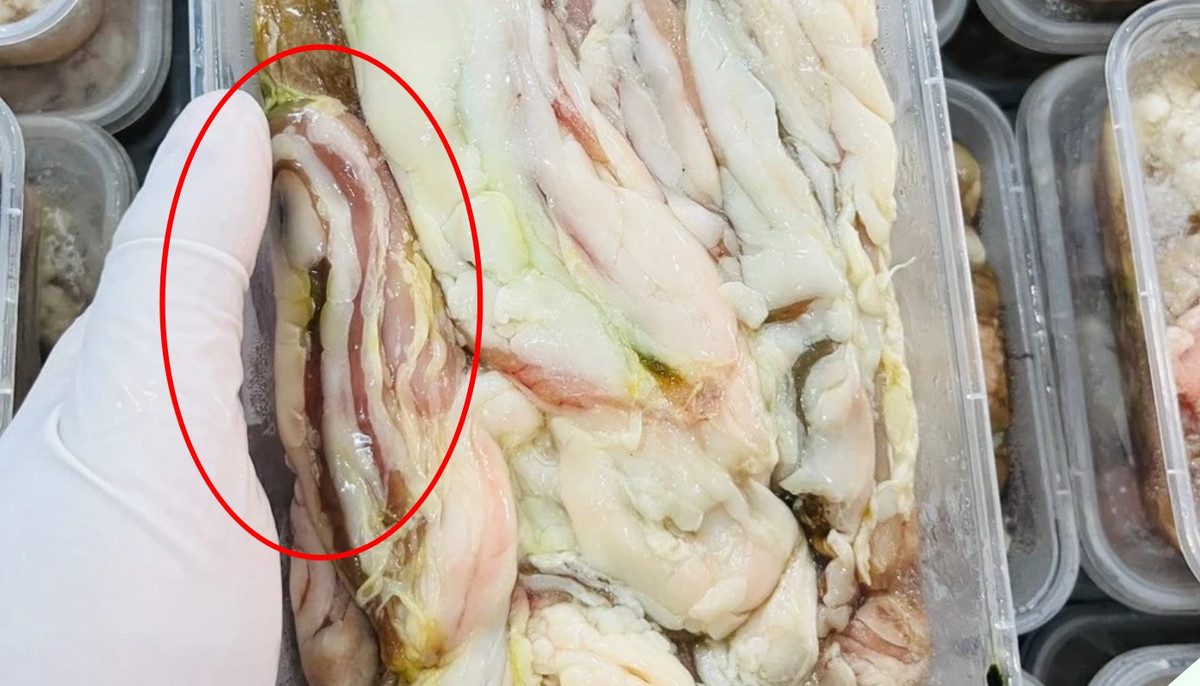 3 bo phan bo nhat cua con ca ma moi nguoi thuong bo di-Hinh-3