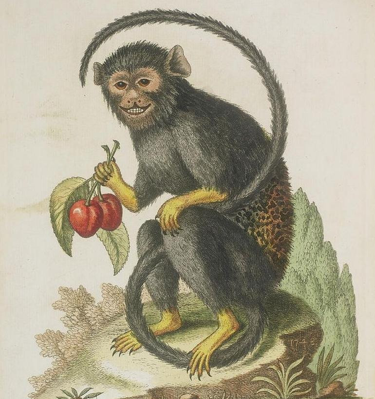 4 con giap coi chung ke thu 3 choc pha hanh phuc gia dinh-Hinh-4