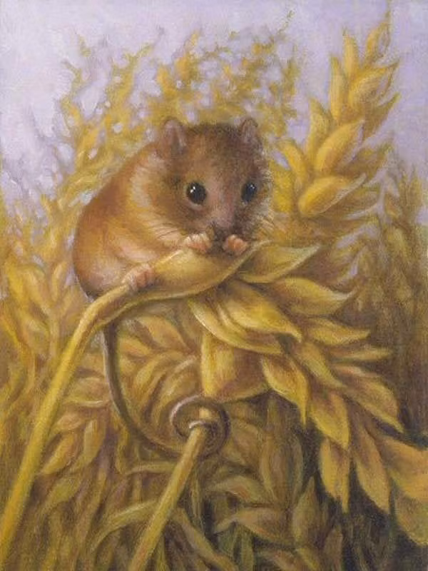 Tu Ram thang Gieng, 4 con giap doi doi het kho, gap du hoa lanh