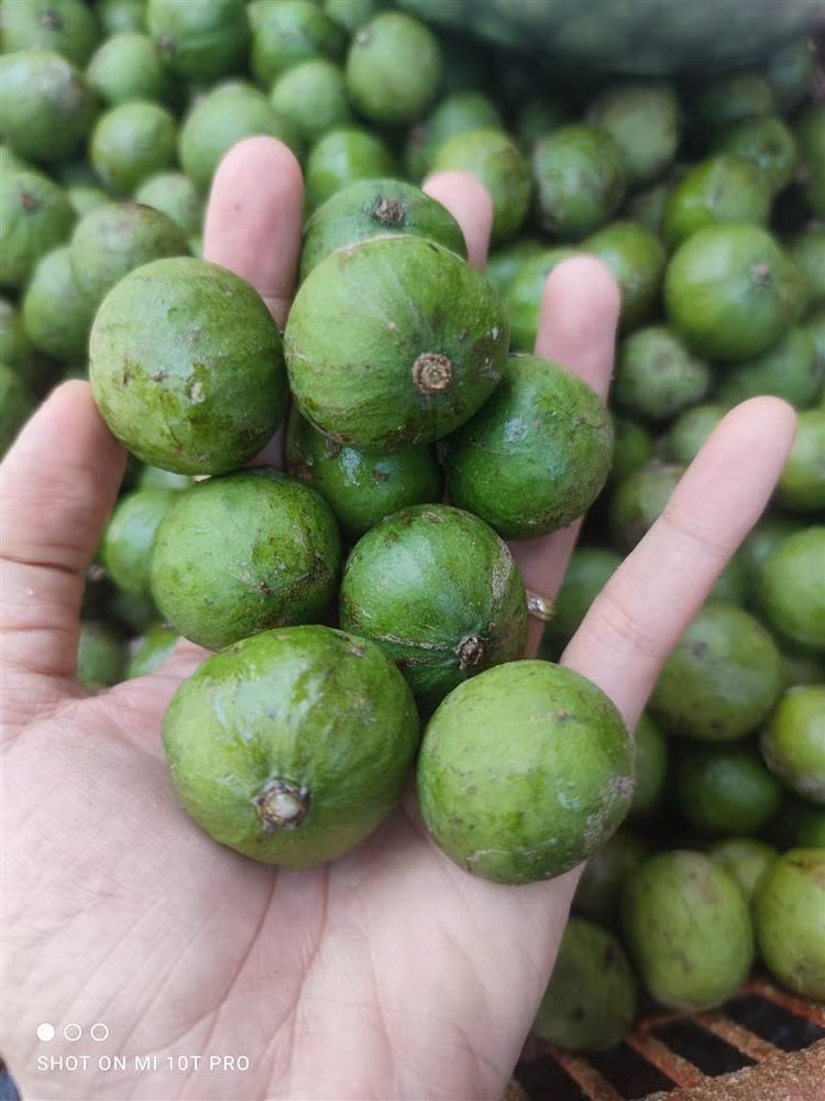 Tuyet chieu sau ngam duong khong bi teo qua, nhin da ua nuoc mieng-Hinh-2