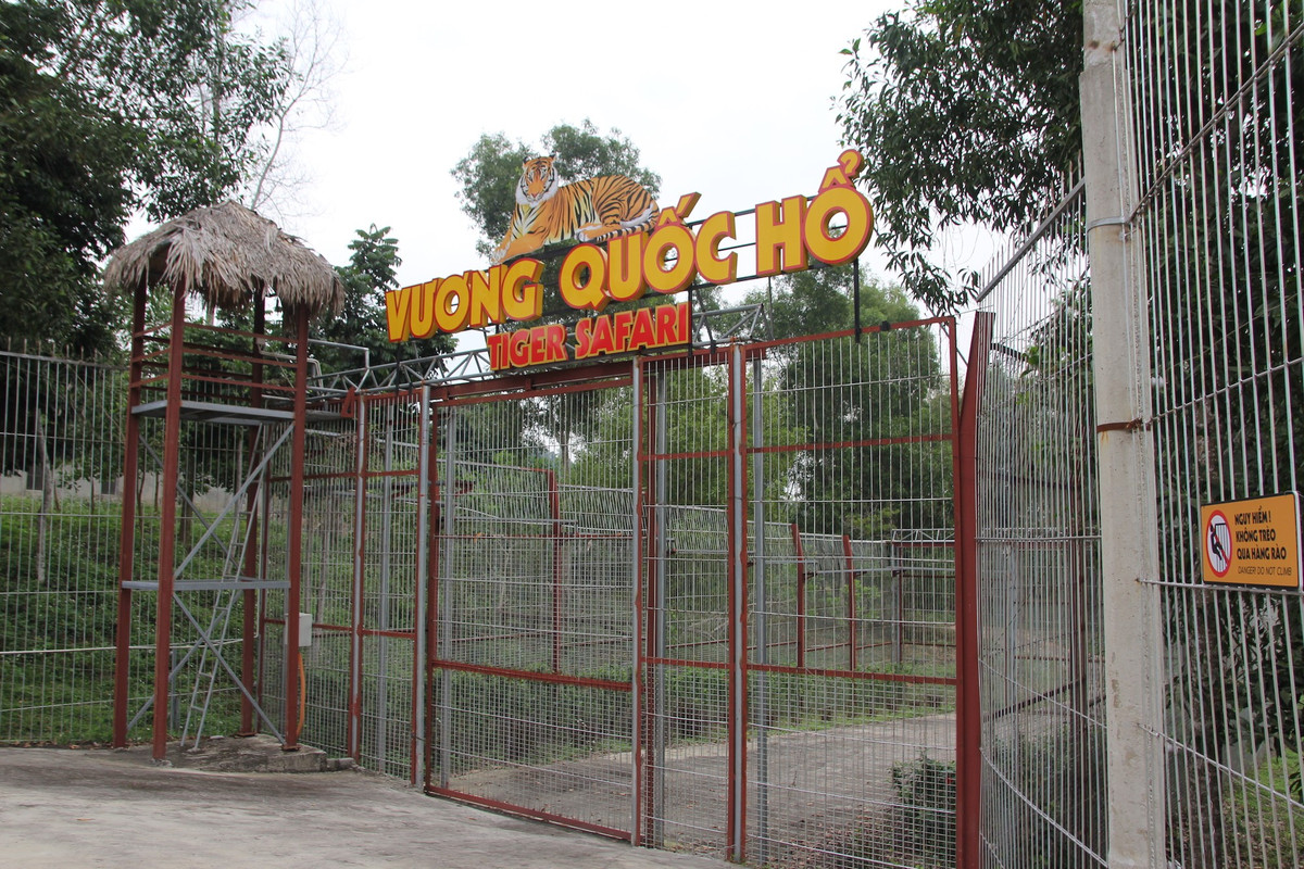 Chuyen chua biet ve nhung nguoi cham soc “chua son lam”-Hinh-2