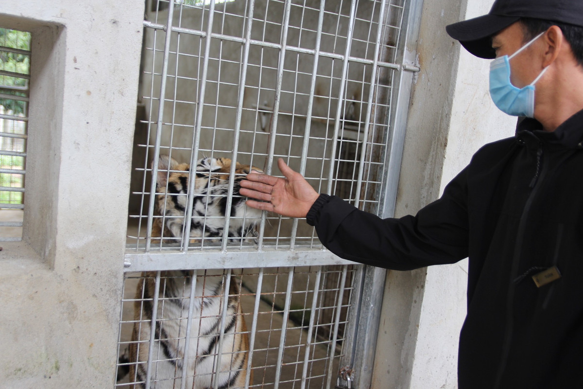 Chuyen chua biet ve nhung nguoi cham soc “chua son lam”-Hinh-3