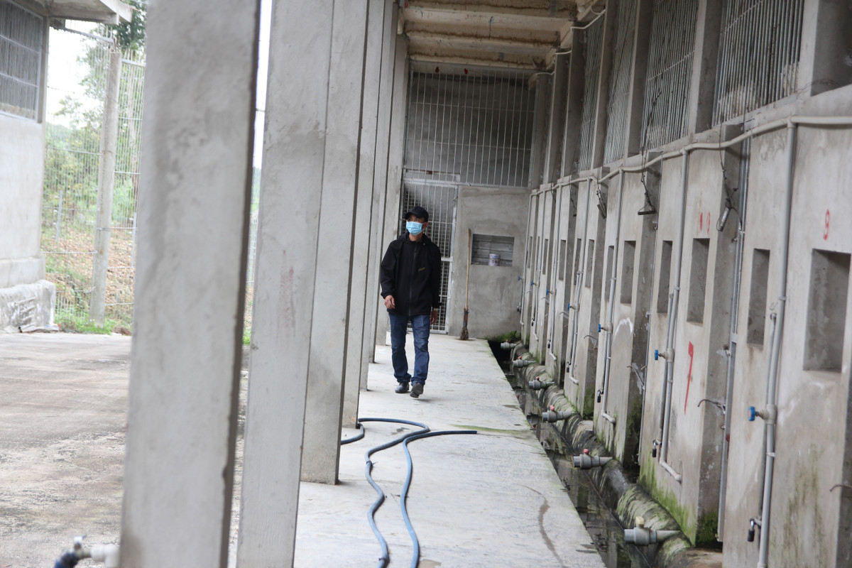 Chuyen chua biet ve nhung nguoi cham soc “chua son lam”-Hinh-4