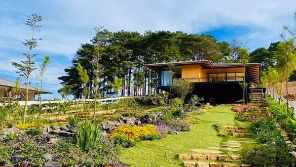 Nha dep chon cao nguyen cua hoa hau co nu cuoi toa nang-Hinh-3