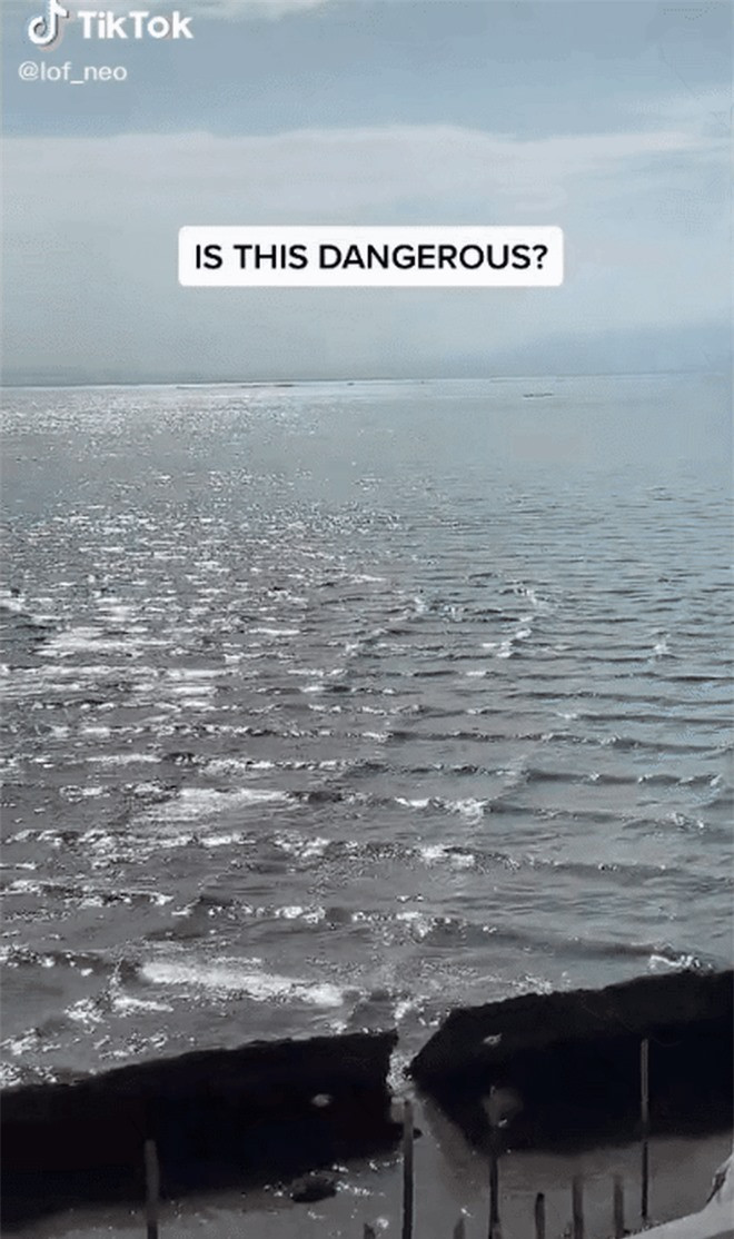 Thấy sóng biển đột nhiên có hình ô vuông, du khách tá hoả ảnh 1