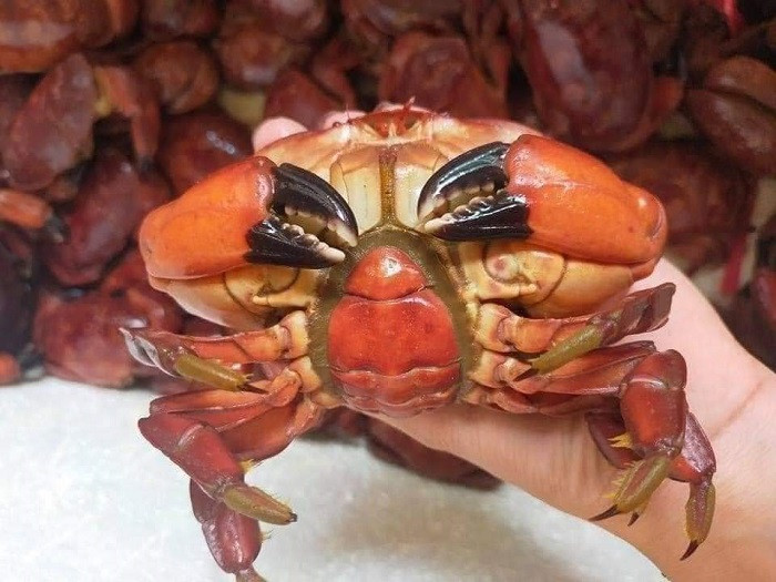 Dac san Quang Ninh duoc ban voi gia chi 19 nghin dong/con-Hinh-2