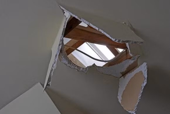 'Gia dinh tu te so ba ro ri'. 'Ba ro ri' o day nghia la gi?-Hinh-2