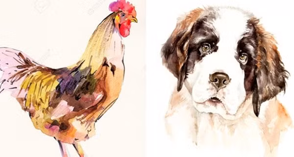 Dan ong thuoc 4 con giap nay suot doi chung thuy, yeu vo so 1