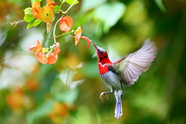 Người sinh ngày Âm lịch này giỏi kết bạn, làm ăn phát đạt - Hình 3 Nguoi sinh ngay Am lich nay gioi ket ban, lam an phat dat-Hinh-3