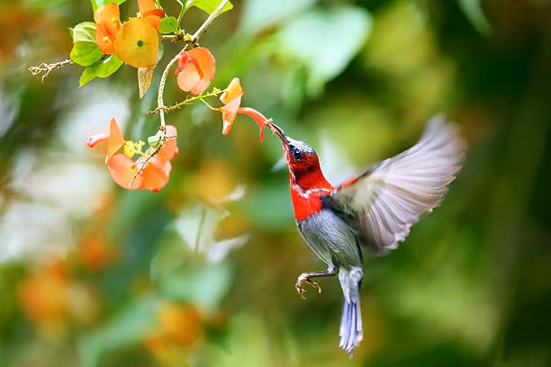 Nguoi sinh ngay Am lich nay gioi ket ban, lam an phat dat-Hinh-3