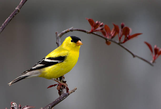 Người sinh tháng Âm lịch này bắt đầu hành trình mới thuận buồm xuôi gió - Hình 3 Nguoi sinh thang Am lich nay bat dau hanh trinh moi thuan buom xuoi gio-Hinh-3