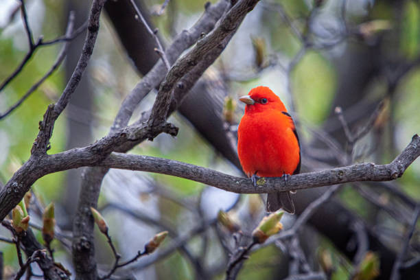 Người sinh tháng Âm lịch này bắt đầu hành trình mới thuận buồm xuôi gió - Hình 2 Nguoi sinh thang Am lich nay bat dau hanh trinh moi thuan buom xuoi gio-Hinh-2