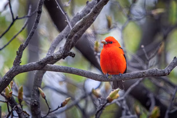 Nguoi sinh thang Am lich nay bat dau hanh trinh moi thuan buom xuoi gio-Hinh-2