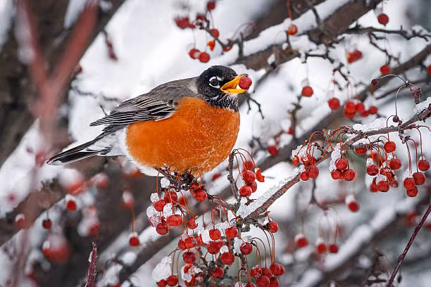 Nguoi sinh thang Am lich nay bat dau hanh trinh moi thuan buom xuoi gio