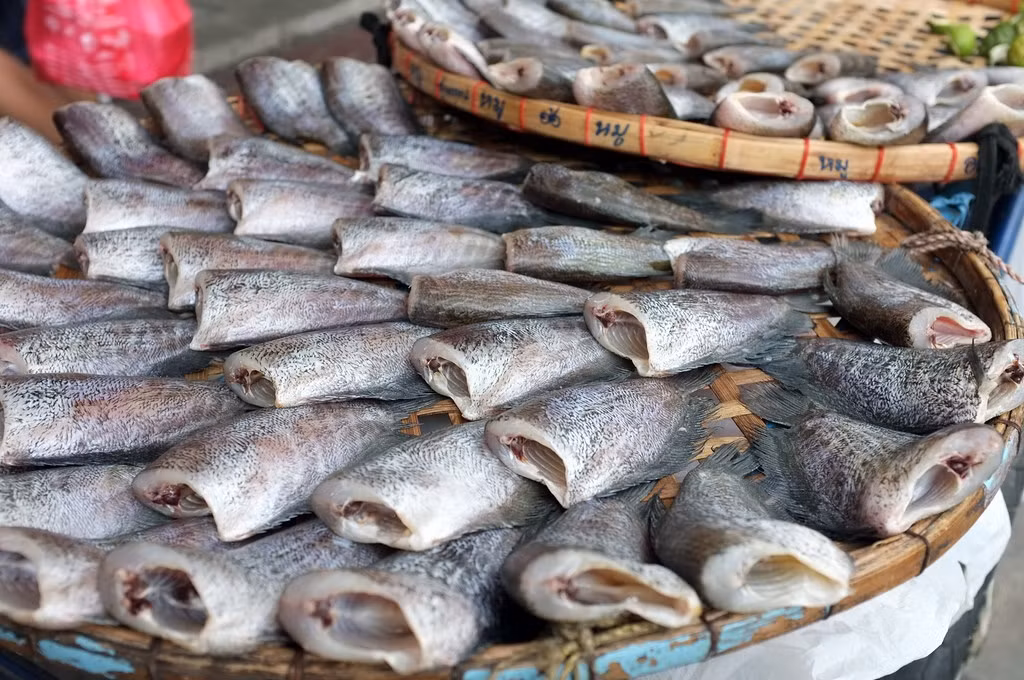 Nhung thuc pham gay ung thu hang dau-Hinh-3