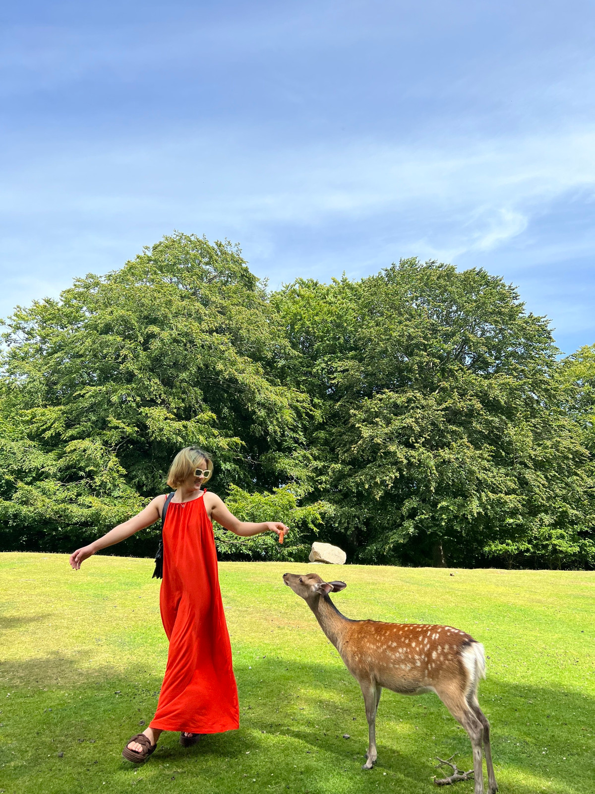 Ngon nui o Na Uy khien co gai Viet phai leo 28 km de check-in-Hinh-6