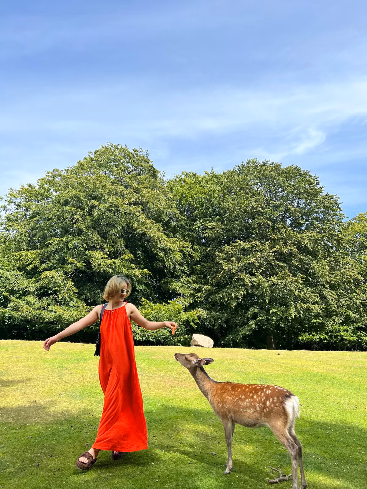 Ngon nui o Na Uy khien co gai Viet phai leo 28 km de check-in-Hinh-6