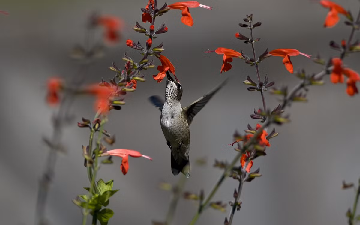 Ke tu thang 12, tui tien cua 4 con giap rung rinh, tai loc khap noi-Hinh-4