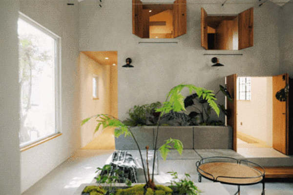 Tổ ấm nhiều mảng xanh cho gia đình nhỏ giữa lòng phố cổ Hà Nội - Hình 9 To am nhieu mang xanh cho gia dinh nho giua long pho co Ha Noi-Hinh-9