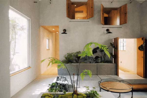 To am nhieu mang xanh cho gia dinh nho giua long pho co Ha Noi-Hinh-9