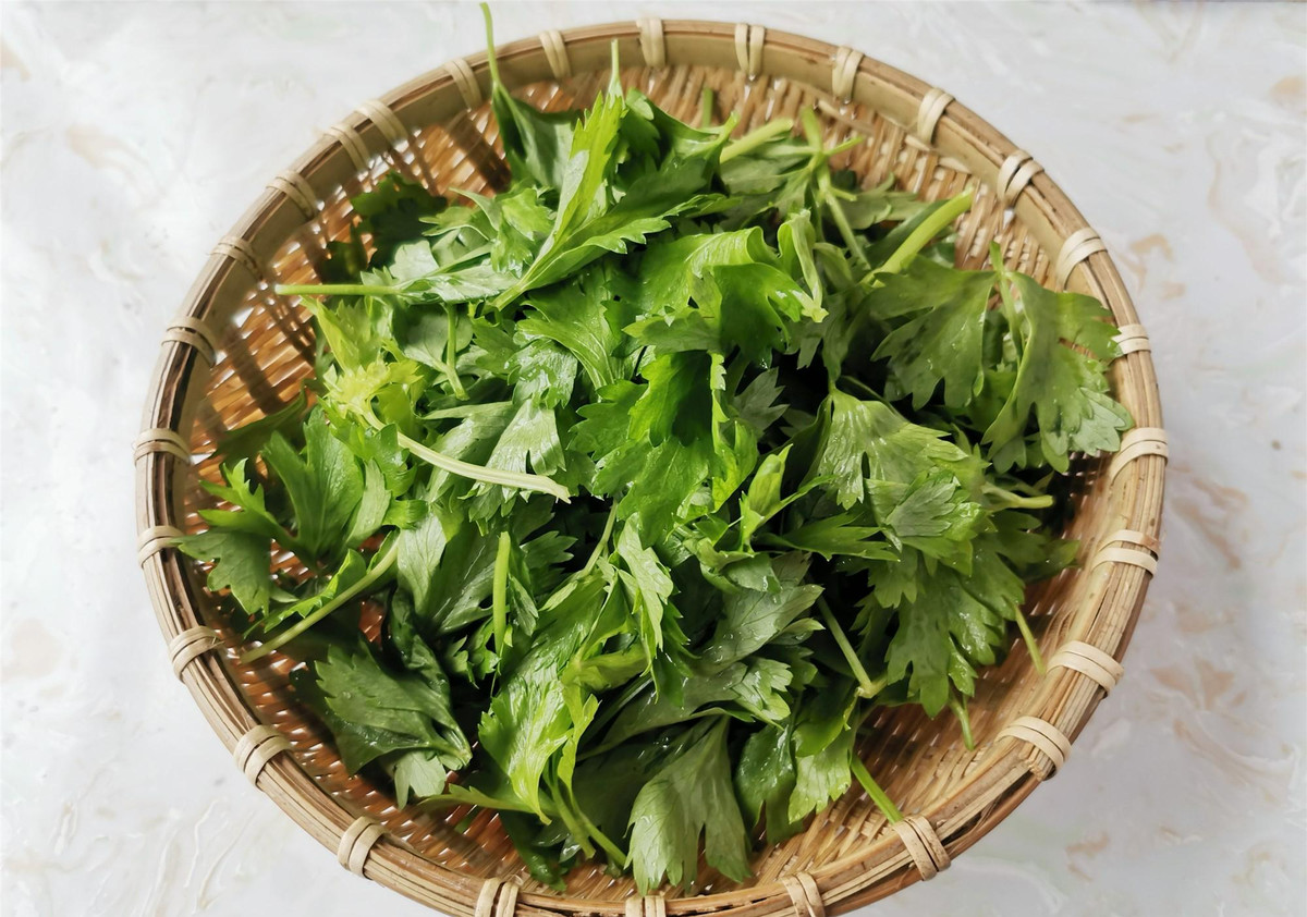 Lá cần tây mọi người thường bỏ đi lại có tác dụng chữa bệnh - Hình 2 La can tay moi nguoi thuong bo di lai co tac dung chua benh-Hinh-2