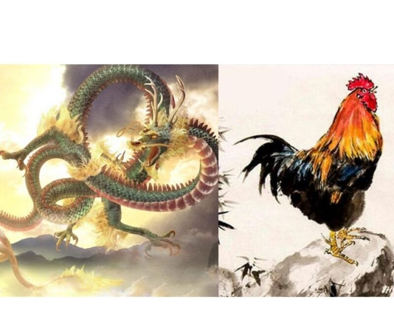 Tuổi Thìn + Tuổi Dậu: Tương sinh, trường thọ không dứt. Tuổi Thìn có khí chất phi thường, có khả năng làm việc lớn. Trong khi đó, tuổi Dậu mang mệnh phượng hoàng giáng trần, có phúc khí và sự giàu sang. Người xưa quan niệm rồng - phượng xứng đôi vừa lứa, trời sinh một cặp.