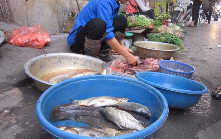 4 loai ca ban nhat cho, tuyet doi khong nen mua
