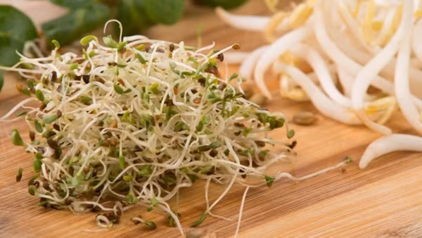 5 thuc pham nguy hiem ban khong nen goi khi di an nha hang-Hinh-2