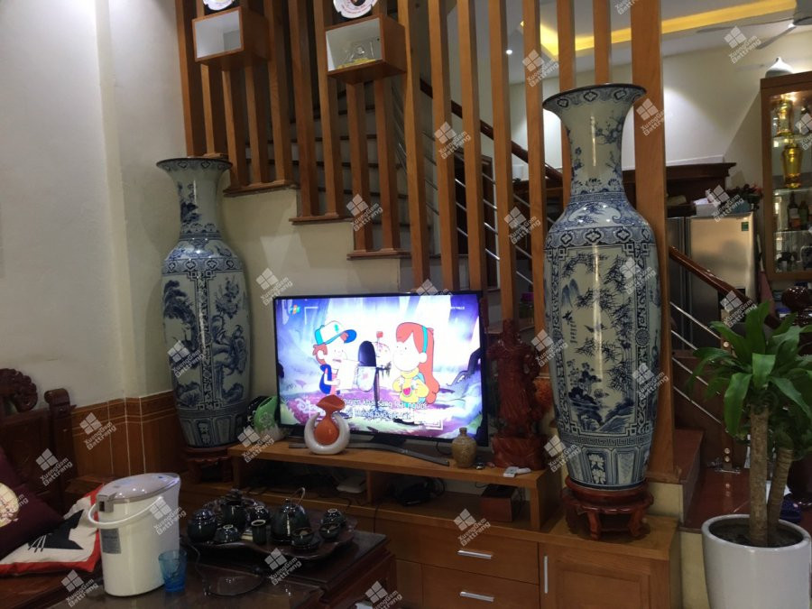 Dat 6 thu nay trong phong khach gia chu cang o lau cang giau co-Hinh-2