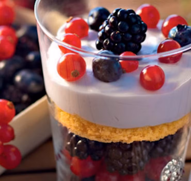 Ngoài ra, nho chuỗi ngọc còn có tác dụng rất tốt cho hệ tiêu hoá, giúp tăng sức đề kháng và hỗ trợ hệ tim mạch.