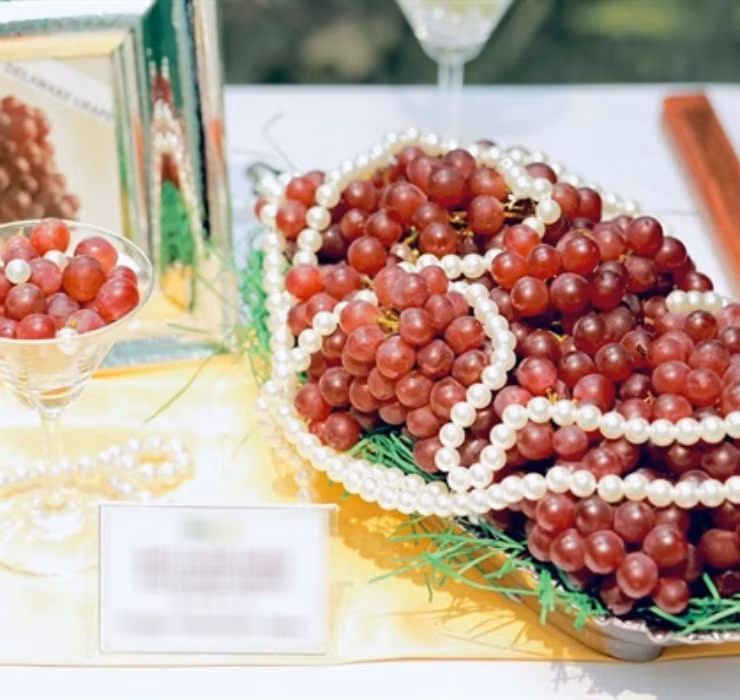 Tuy nhiên, khi được nhập về Việt Nam vào cuối năm 2014, mức giá của loại nho này bỗng tăng vọt, lên tới 2 triệu đồng/kg.