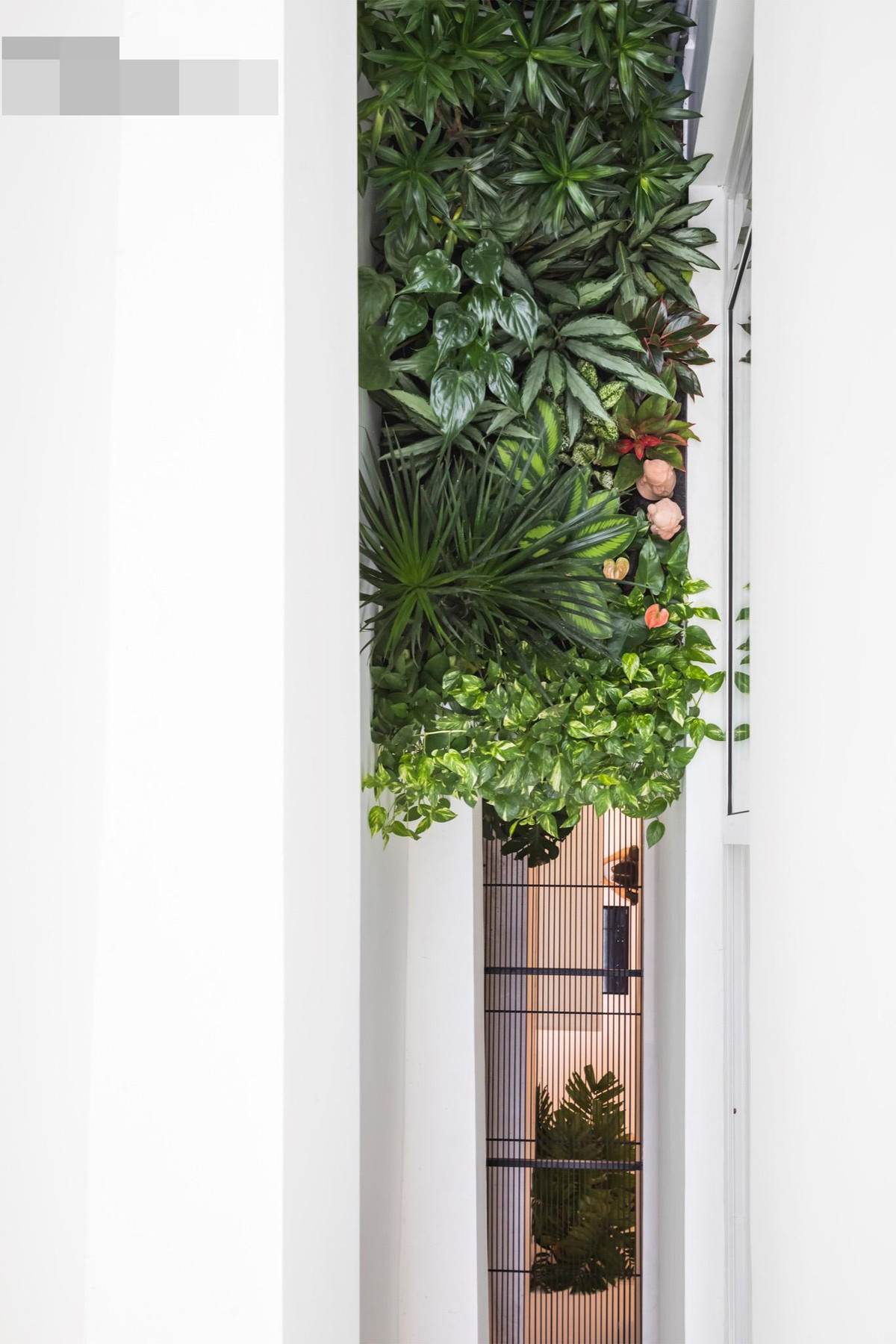 Resort pho an minh sau buc tuong cao va canh cong go-Hinh-2