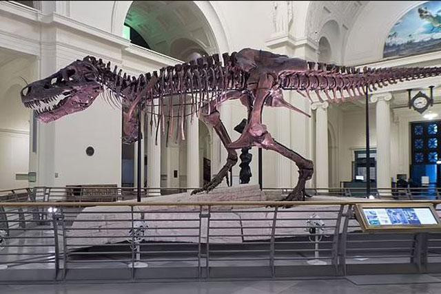 Nghien cuu moi phat hien su that bat ngo ve khung long bao chua