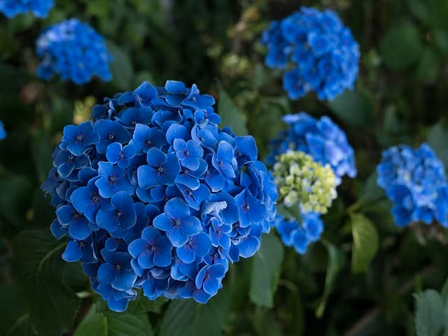 Thang 10 Am lich sang, 3 con giap nhan loc troi ban-Hinh-2