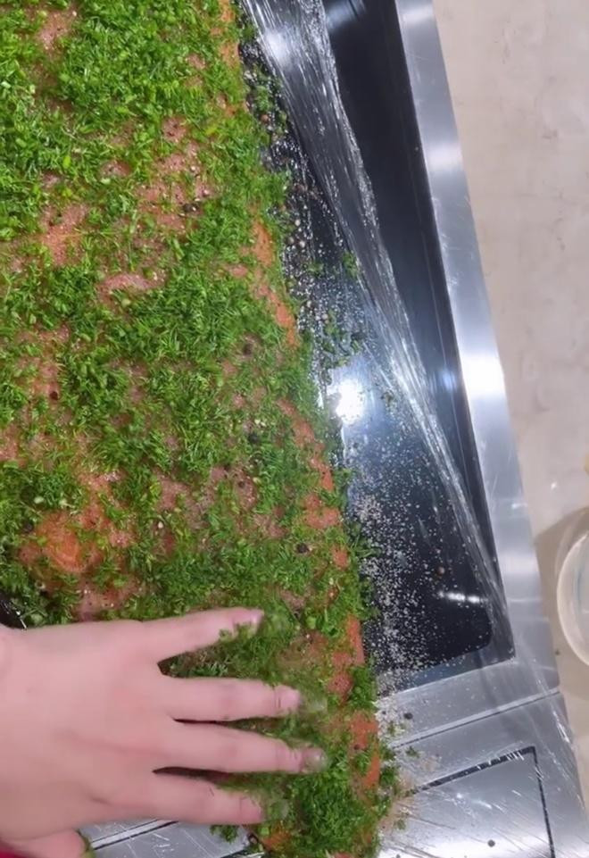 Trinh nau an cua Ho Ngoc Ha the nao ma noi 'Kim Ly so huong'?-Hinh-13