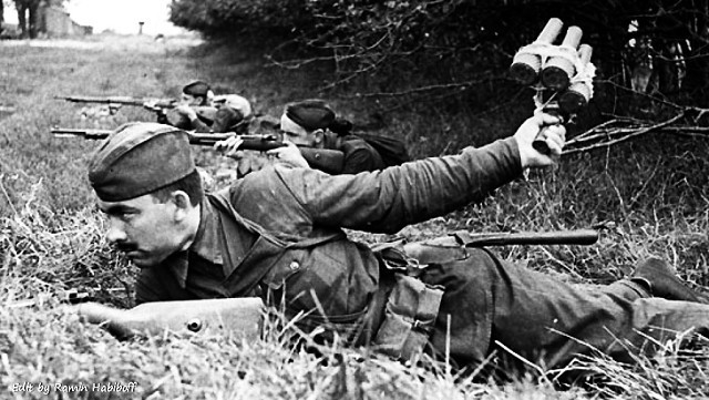 Tại sao Hồng quân Liên Xô không thể tiêu diệt xe tăng Đức bằng lựu đạn? ảnh 1