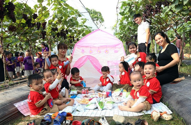 Choang ngop vuon nho Ha den sai triu qua-Hinh-7