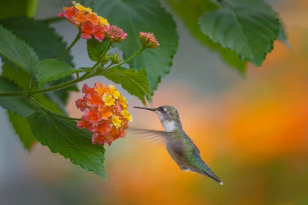 Năm 2022, 3 con giáp đón tài lộc cuồn cuộn, sự nghiệp phi mã - Hình 2 Nam 2022, 3 con giap don tai loc cuon cuon, su nghiep phi ma-Hinh-2