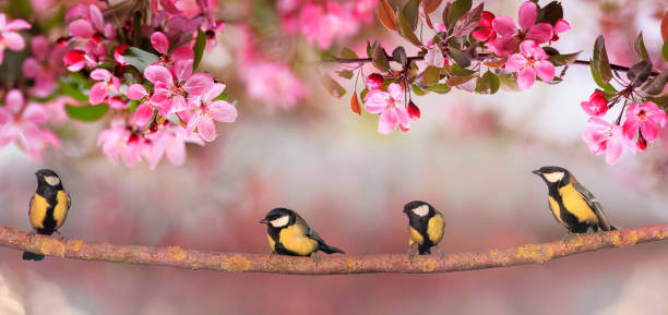 Nam 2022, 3 con giap don tai loc cuon cuon, su nghiep phi ma