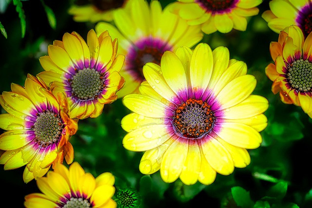 3 con giáp ý chí sắt đá, kiên trì sẽ thành công - Hình 2 3 con giap y chi sat da, kien tri se thanh cong-Hinh-2