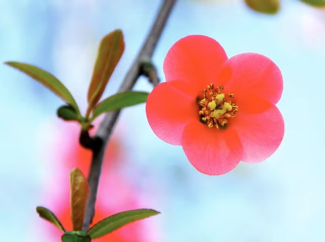 3 con giap y chi sat da, kien tri se thanh cong