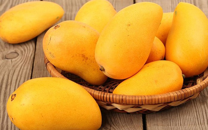 Mua xoài nhìn vào điểm này biết xoài chín tự nhiên hay thúc chín Mua xoai nhin vao diem nay biet xoai chin tu nhien hay thuc chin