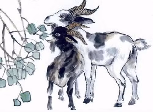 Hãy cố gắng cân bằng tâm lý, đừng để áp lực bào mòn mà hãy biến nó thành động lực, có như vậy mới có thể 'ngược gió trở trời'. 