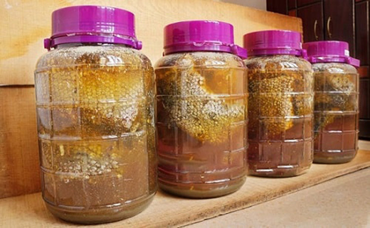 Sau khi khai thác, ong bắp cày được thương lái thu mua tận nơi với giá khoảng 300.000 đồng/kg/tổ và khoảng 500.000 - 800.000 đồng/kg với nhộng ong.