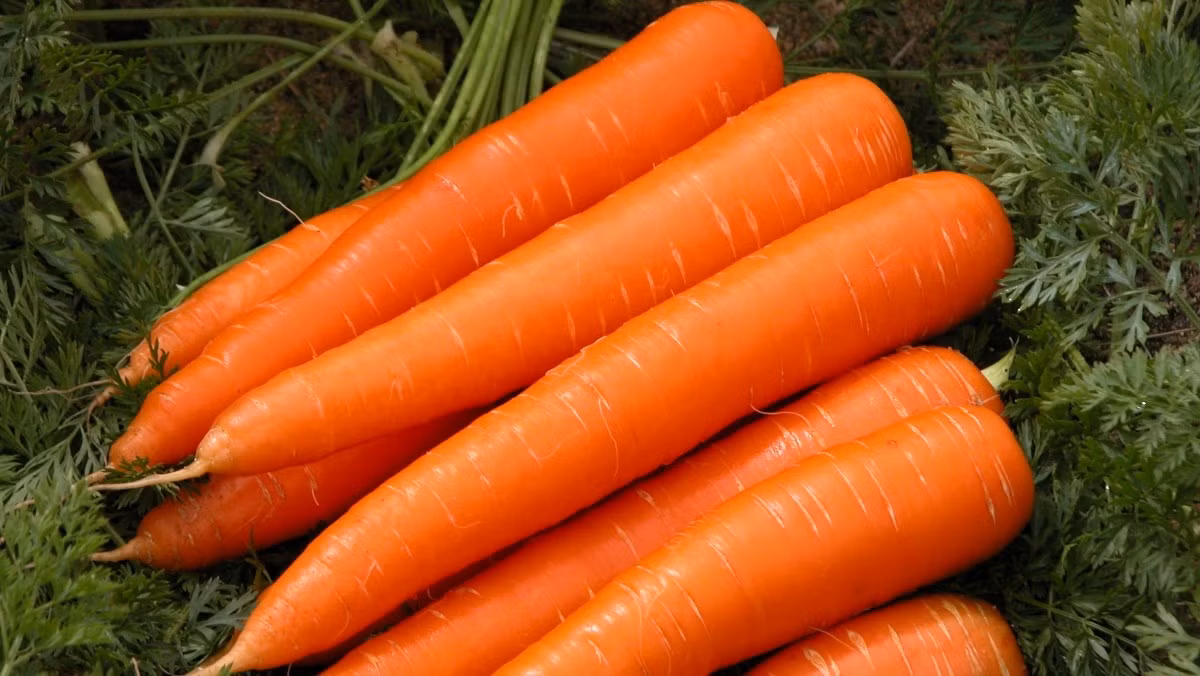 Thoi gian bao quan hop ly cua tung loai rau cu qua-Hinh-5