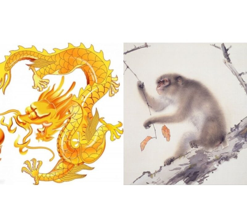 Sự kết hợp của cả hai sẽ mang đến một cuộc sống hạnh phúc viên mãn, tài vận cũng ngày càng dồi dào, thu nhập tăng dần theo thời gian. 