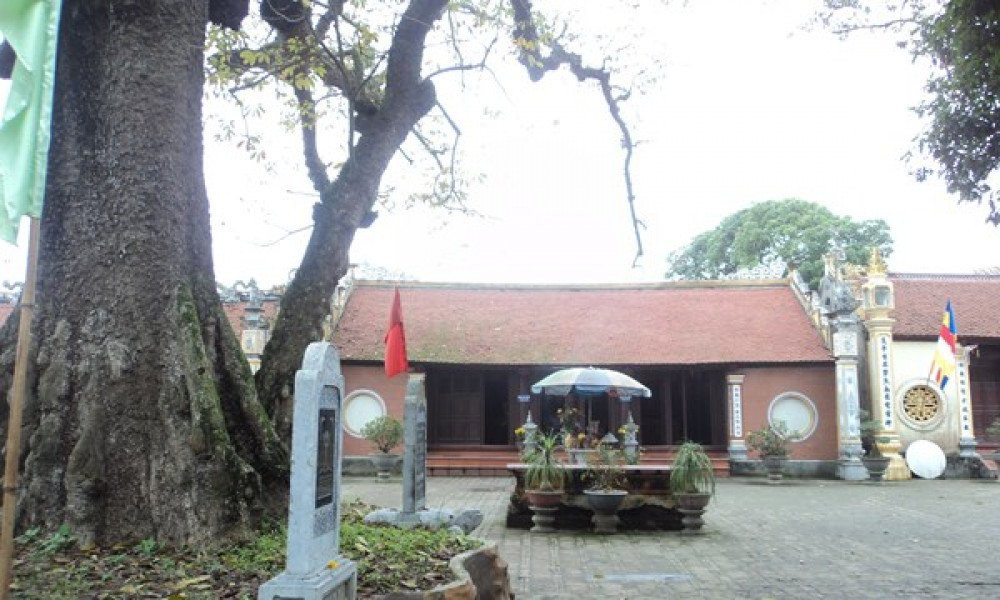 Cong chua Viet so phan bi thuong: Xuat gia lam ni co-Hinh-3